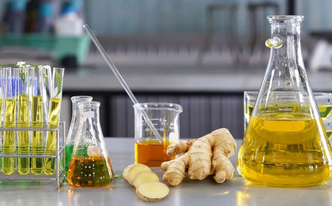 棟方股份榮獲2021年廣東省科技進步獎，科研創(chuàng)新實力再獲認可！